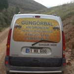 Güngör