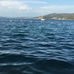 Umut