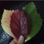 Melike
