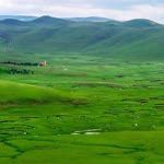 Şükrü