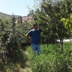 Paşa