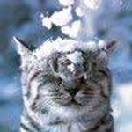 Ceren