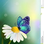 Fiori