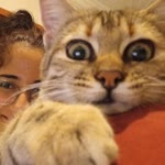 Elif