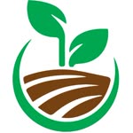 Serdar