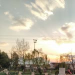 Soner