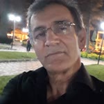 Doğan