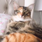 Büşra
