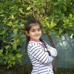 Kadir