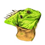 Oguzhan
