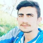 Şahin