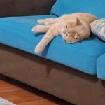 Onur