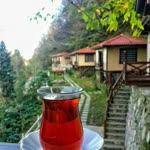 Merve