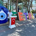 Şahin