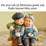 Sevim