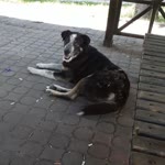 İrem