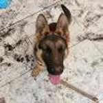 Tolga