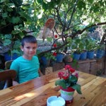 Kerem