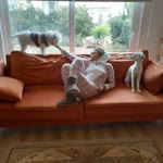 Pinar