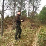 Sedat