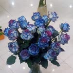 Simin