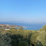Şener
