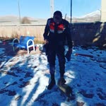 Musab