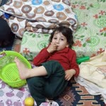 Cihat