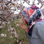 Şükran