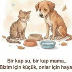 Profil fotoğrafı