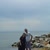 Halit