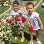 İlhan