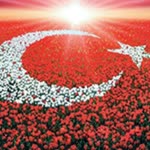 Bağci