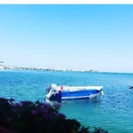Ergin