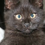 Zeynep