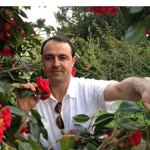 Fatih