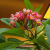 profile-icon