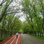Sadettin