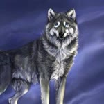 Erhan
