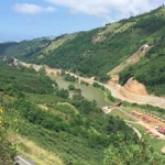 Tarık
