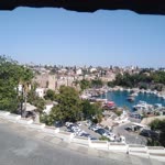 Tamer