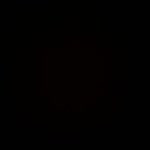 Selin