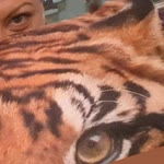 Ayten