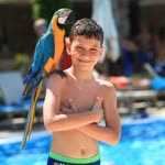 Akif