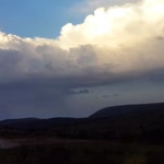Özgül
