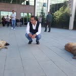 Tufan