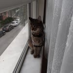 Ceren