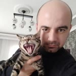 Taner