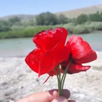 Emrullah