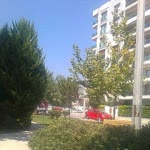 Necmi